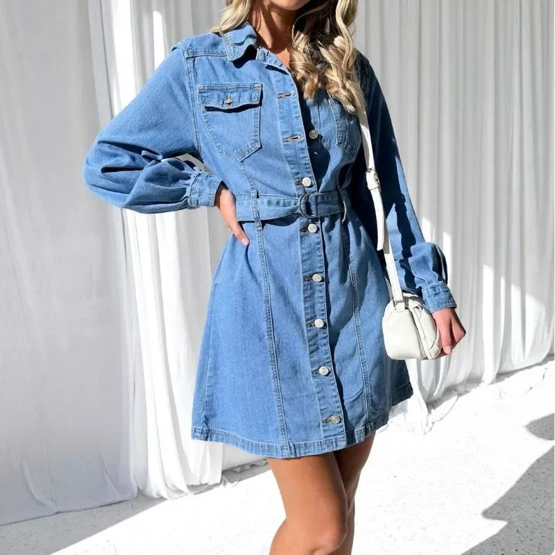 Kelsey Denim Dress